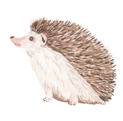 Available small animal pets