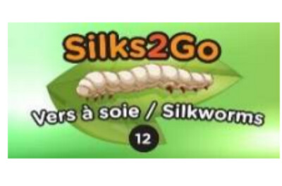 Silk to go - 12 Silkworms w/container and food