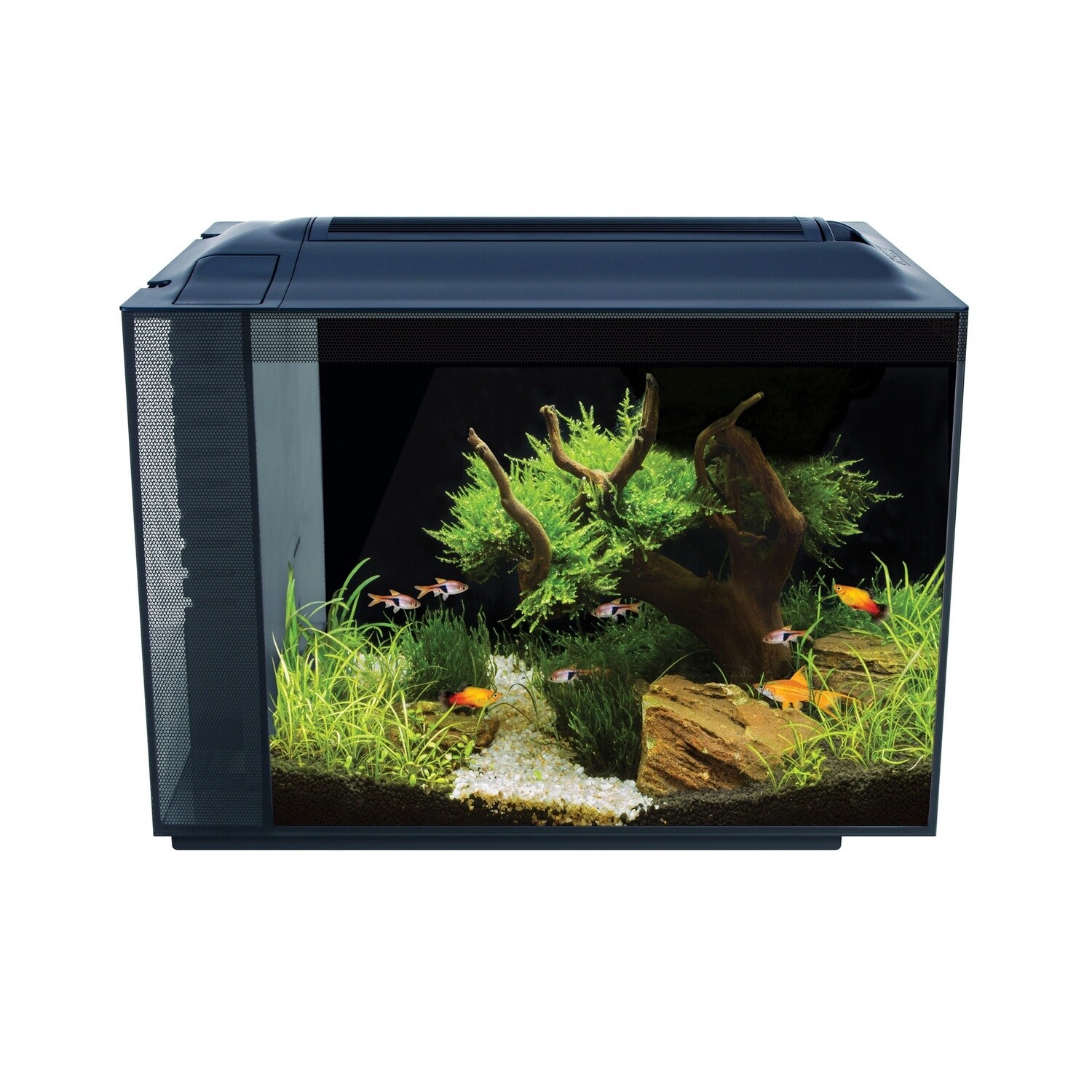 Fluval Spec Aquarium Kit – Black - 60 L (16 US gal)