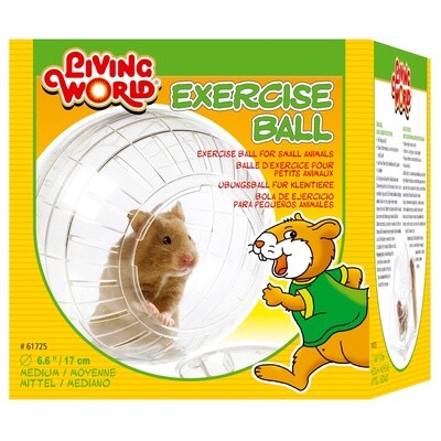 Living World Exercise Ball with Stand - Medium