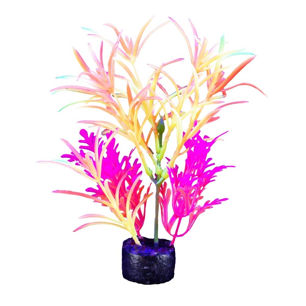 Marina iGlo Plant 7.5&quot; - PP1013