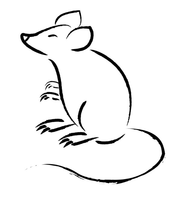 Mice - Frozen - F067 - Pinky - (1g-2g)