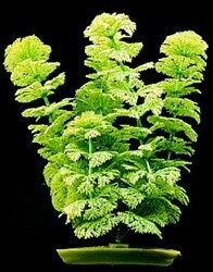 Marina Aquascaper Plastic Plant, Ambulia, 30 cm (12 in)