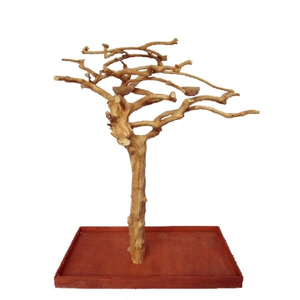 A&amp;E - Small Java Wood Tree - 48&quot; x 24&quot; x 66&quot;