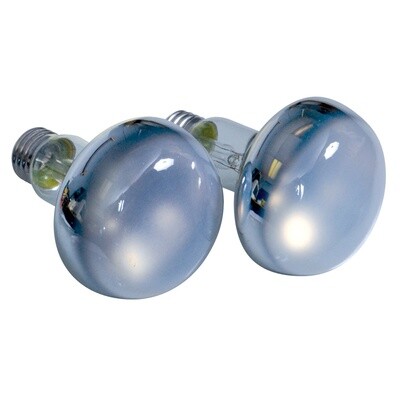 Zoomed - Repti Basking Spot - 100w - 2 bulb value pack