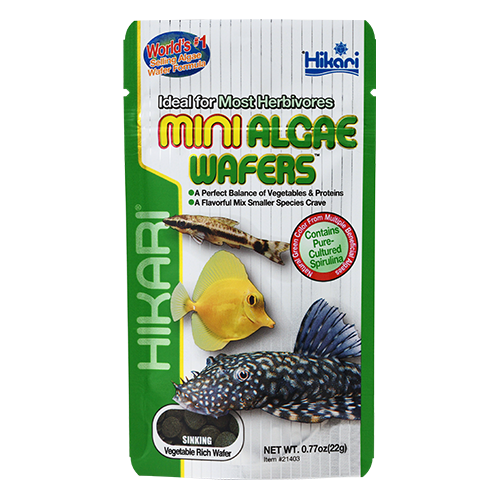 Hikari - Mini Algae Wafers - 0.77 oz (22g)