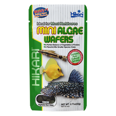 Hikari - Mini Algae Wafers - 0.77 oz (22g)