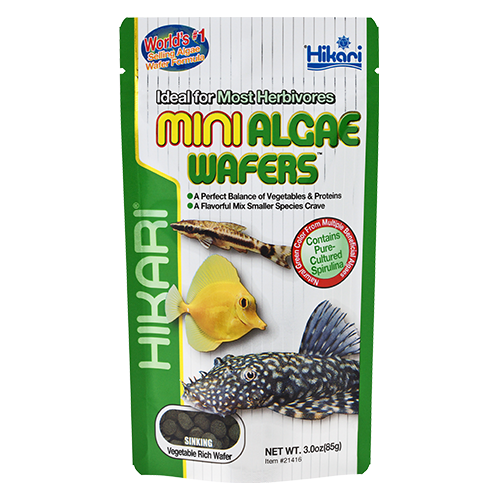 Hikari - Mini Algae Wafers - 3 oz (85g)