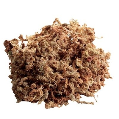 ZooMed - New Zealand Sphagnum Moss - 80 cu in
