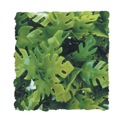 ZooMed - Amazonian Phyllo - Small - 14"