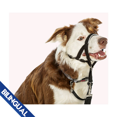 CofA - Halti - Headcollar - Black - Size 2