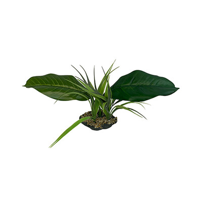 Komodo Woodland Canopy - 10"