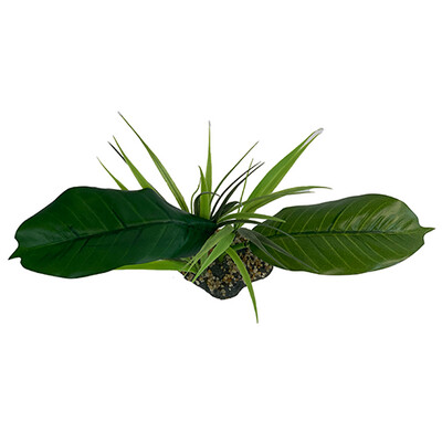 Komodo Woodland Canopy - 10"