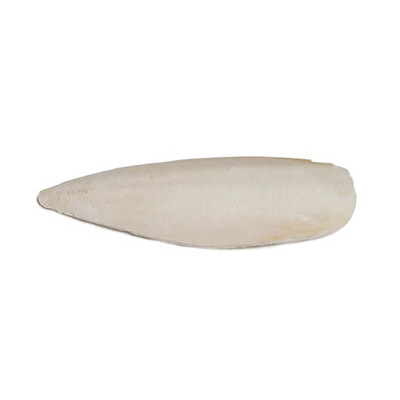 PH - Birdie Basics - Cuttlebone - Sm - 4" - 2 pk