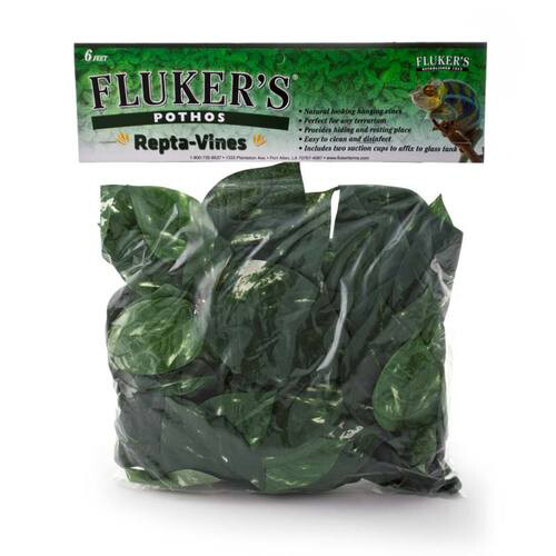 Flukers - Repta-Vines - Pothos - 6&#39;