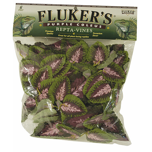 Flukers - Repta-Vines - Purple Coleus- 6&#39;