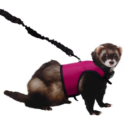 Kaytee® Comfort Harness &amp; Stretchy Leash Large
