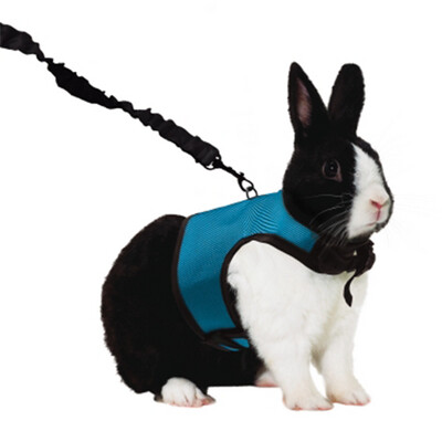 Kaytee® Comfort Harness &amp; Stretchy Leash Extra Large