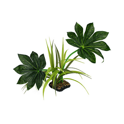 Komodo Jungle Canopy - 10"