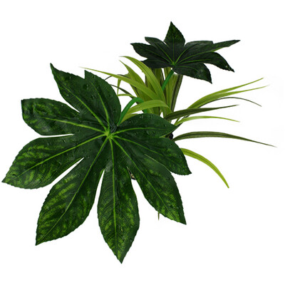 Komodo Jungle Canopy - 10"