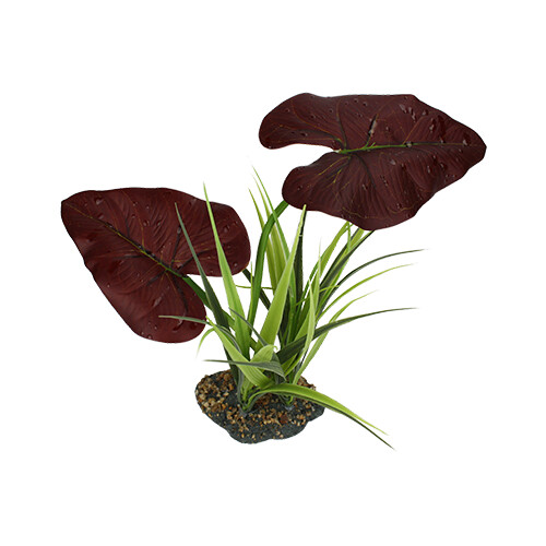 Komodo Rainforest Canopy - 8&quot;