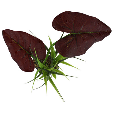Komodo Rainforest Canopy - 8"