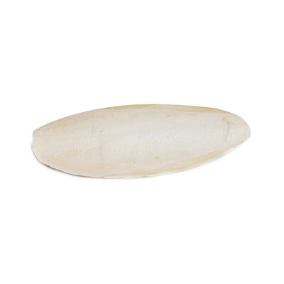 Prevue Hendryx™ Birdie Basics™ Cuttlebone Large (1 Pack)
