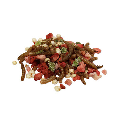 Sunseed - Vita Prima - Hedgehog Treat - Wigglers &amp; Berries - 2.5oz