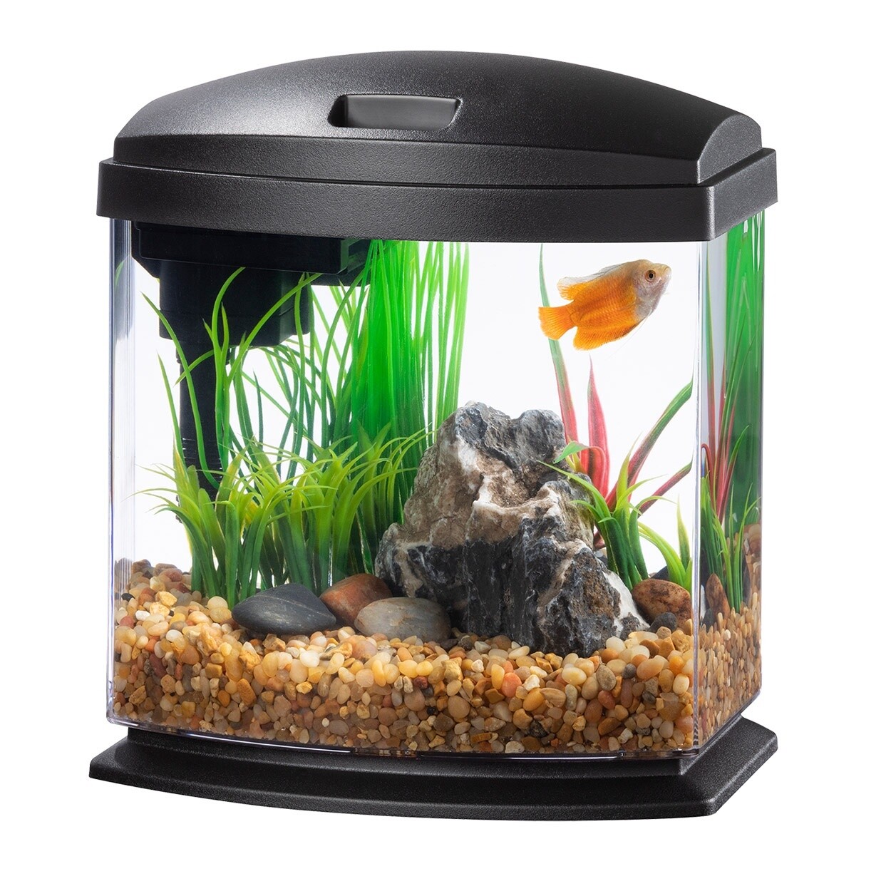 Aqueon - LED Minibow SmartClean1 - Black - 1 gal
