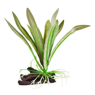 UT - Silk Dwarf Sagittaria