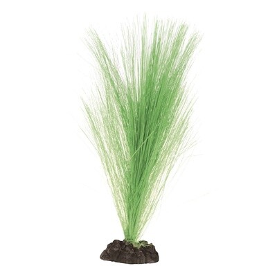 UT - Silk Hairgrass - Green