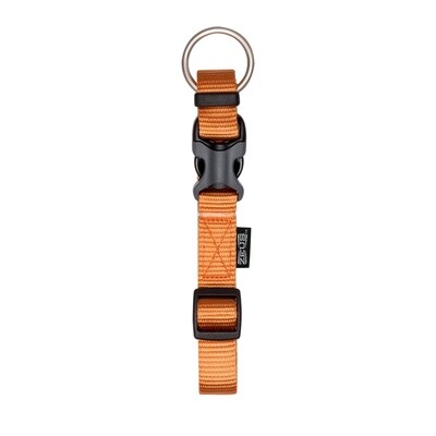 Zeus Adjustable Nylon Dog Collar - Tangerine - Small - 1 cm x 22 cm-30 cm (3/8in x 9in-12in)