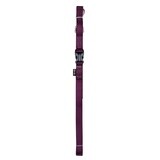 Zeus Nylon Leash - Royal Purple - Medium - 1.8 m (6 ft)