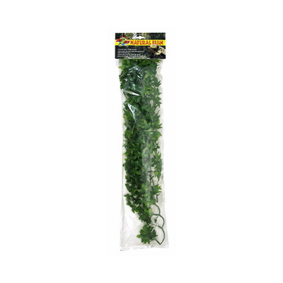 ZooMed - Congo Ivy - Large