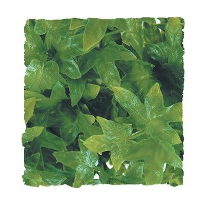 ZooMed - Congo Ivy - Small