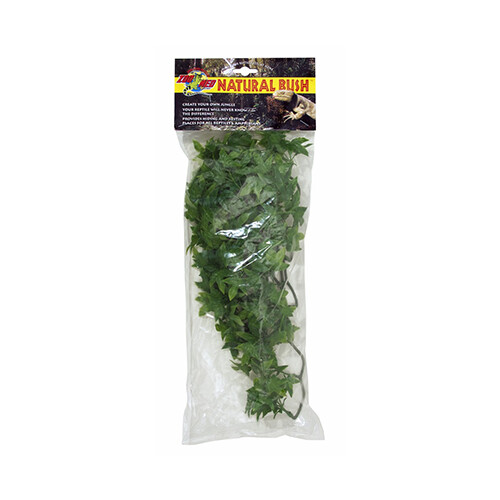 ZooMed - Congo Ivy - Medium
