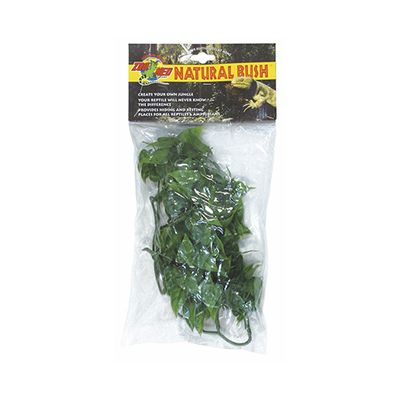 ZooMed - Mexican Phyllo - Small