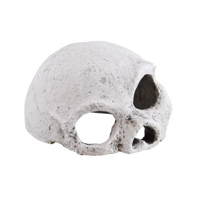 Ceramic Skull - Medium