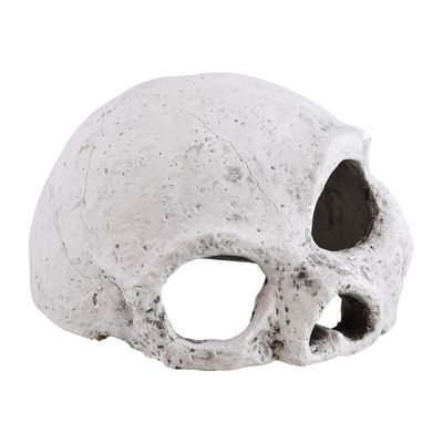 Reptile Treasures Ceramic Skull - Large