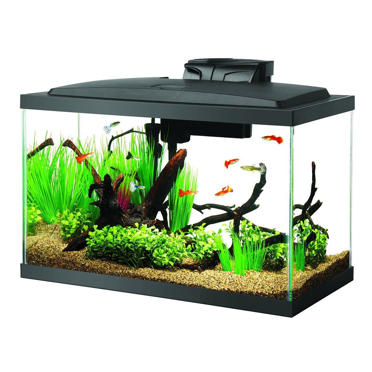Aqueon - LED Aquarium Kit - 10 gal
