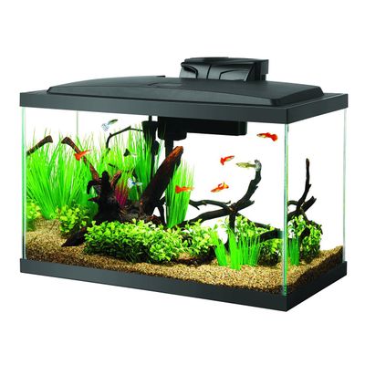 Aqueon - LED Aquarium Kit - 10 gal