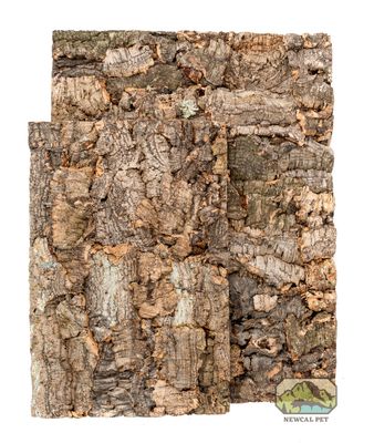 NewCal Virgin Cork Backgrounds - 12 x 18