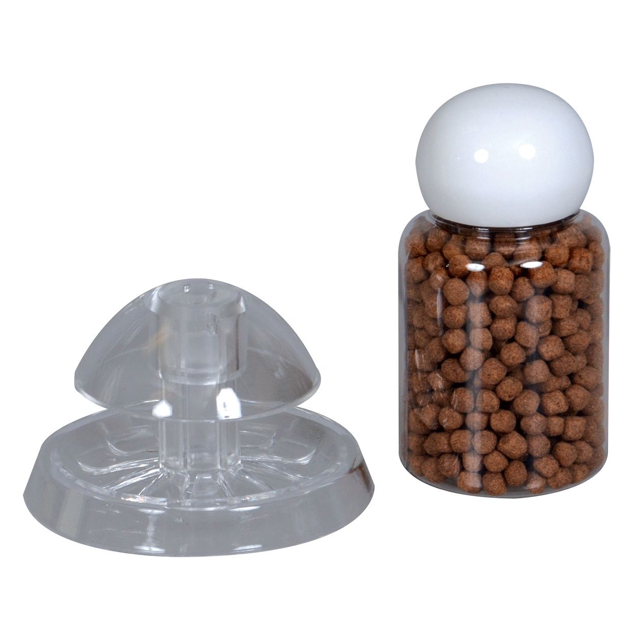 ISTA - Snail Trap