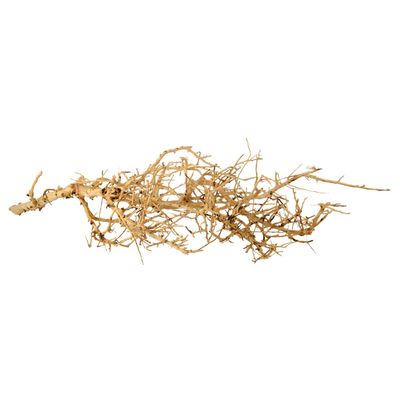 UT - Bird Nest Wood - Medium
