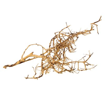 UT - Bird Nest Wood - Small