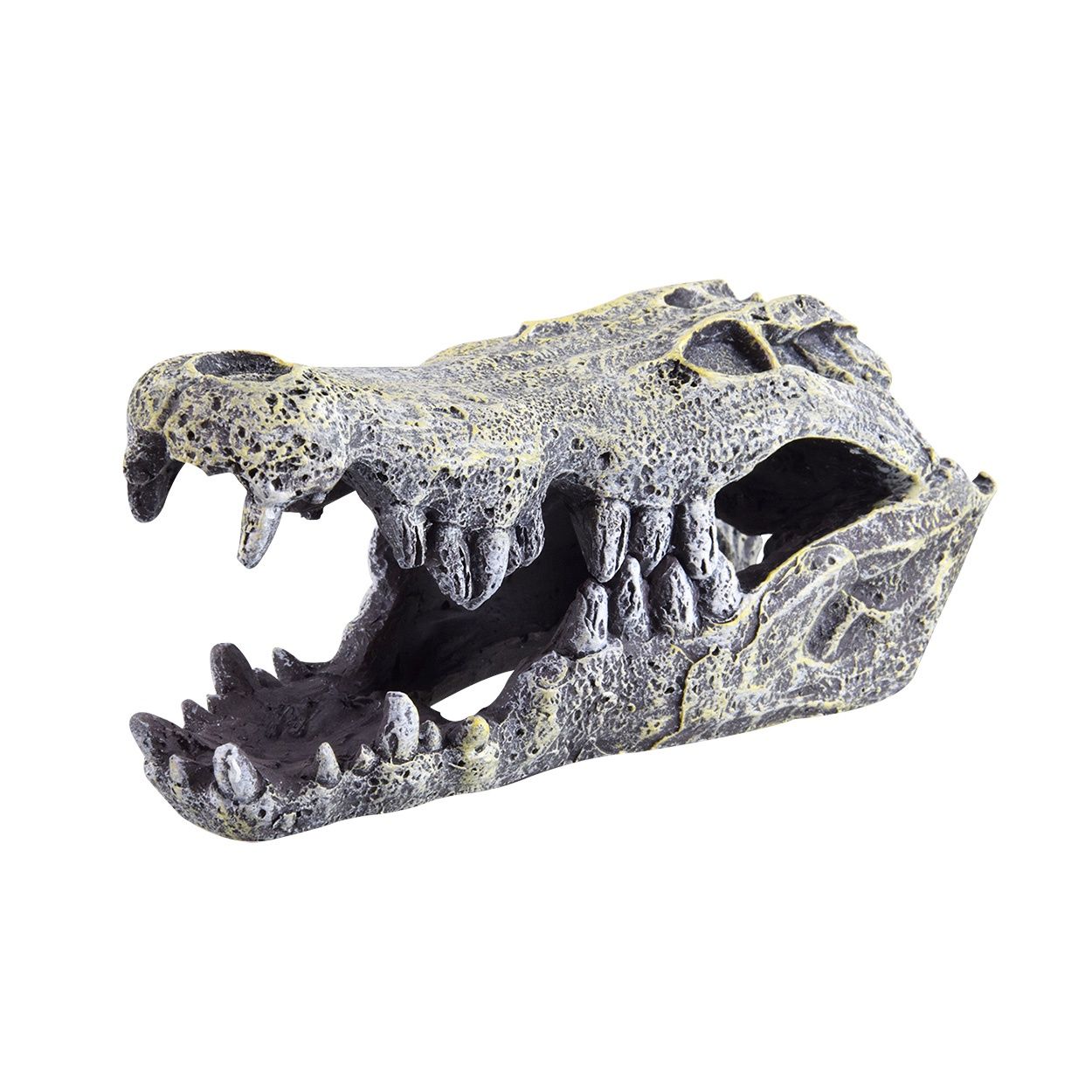UT - Crocodile Skull