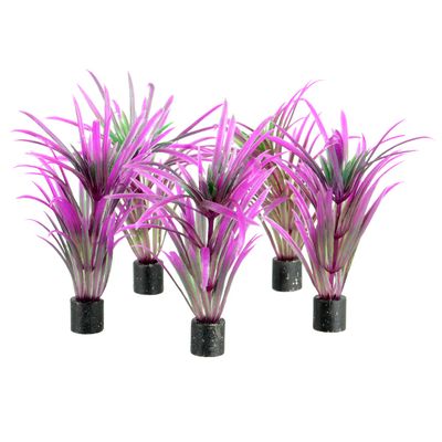 UT - Mini Plant - Purple Grass - 3&quot; - 5 pk