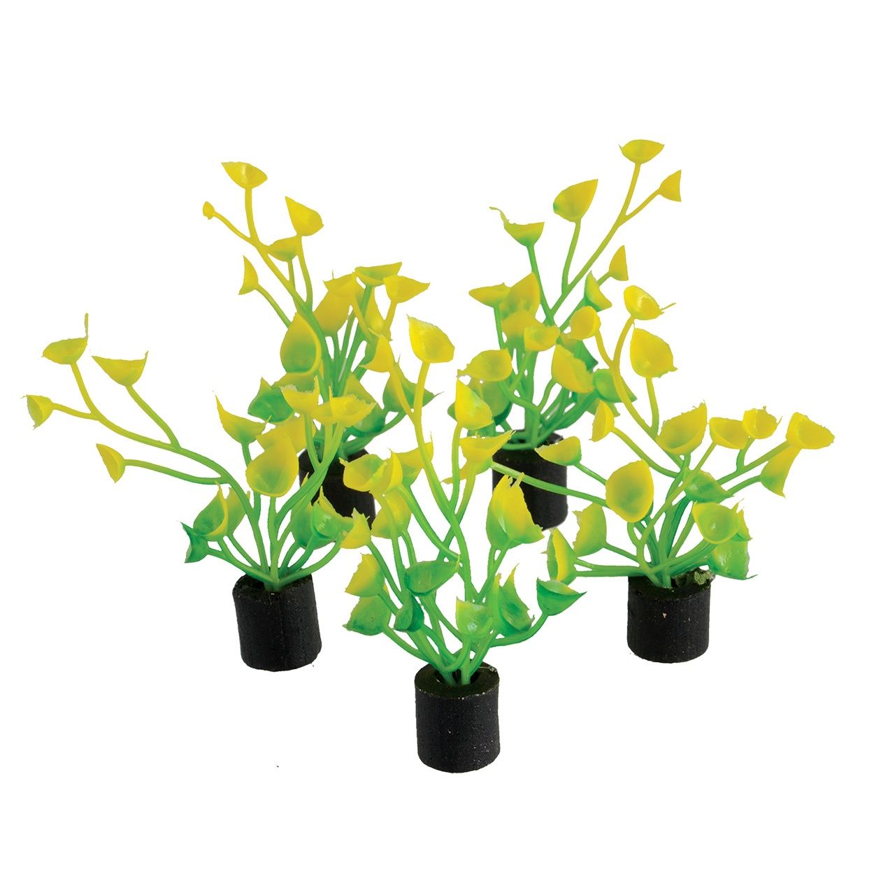 UT - Mini Plant - Yellow and Green - 2&quot; - 5 pk