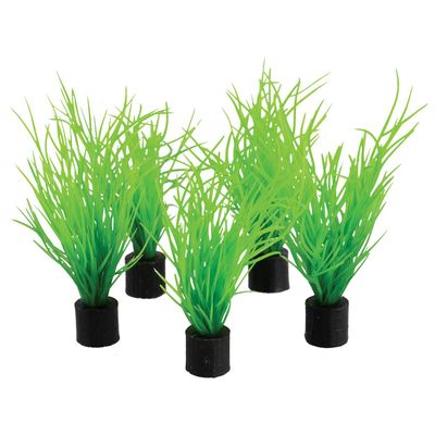 UT - Mini Plant - Bog Grass - 3&quot; - 5 pk