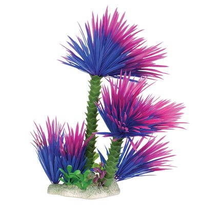 UT - Plant - Purple Palm - 53554